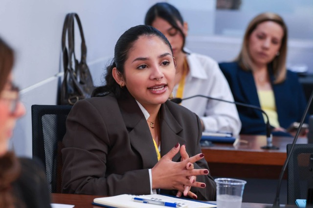 Internado Legislativo de Comunicaciones Luis Dávila Colón del Senado de Puerto Rico — Primer Semestre 2026-2027